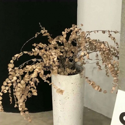 Furry插画光影技巧FurryQQ群